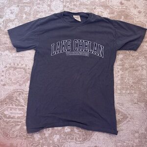 Lake Chelan Washington Men's Gray T-Shirt